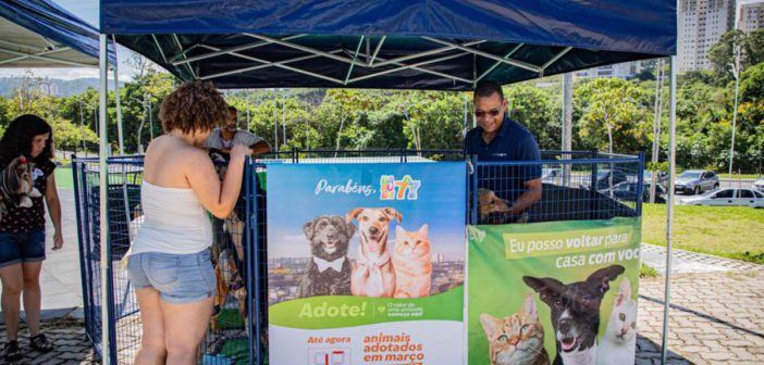 Feiras de adoção de pets de maio começam no feriado do dia 1º de maio