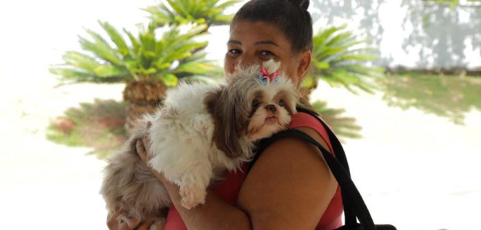 Prefeitura abre agendamento para castração de pets dia 6 de maio