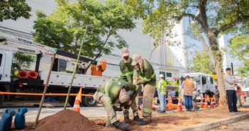 Barueri e Enel iniciam projeto para substituir árvores com risco de queda e reforçar segurança urbana