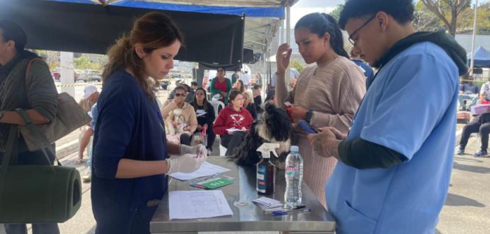 Programa Saúde Animal leva atendimento veterinário gratuito a 250 pets no Jardim Belval
