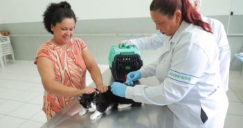 Dia Mundial Contra a Raiva reforça importância da prevenção e da vacinação