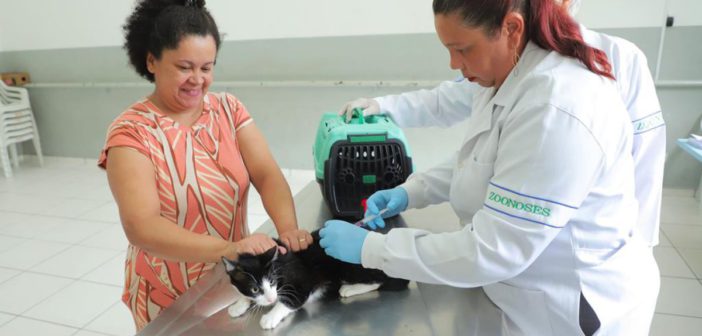 Dia Mundial Contra a Raiva reforça importância da prevenção e da vacinação