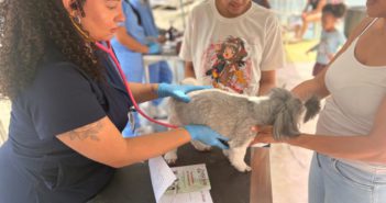 Parque dos Camargos recebe atendimento veterinário gratuito; Jardim Silveira terá edição no dia 26