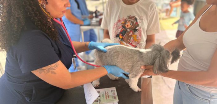 Parque dos Camargos recebe atendimento veterinário gratuito; Jardim Silveira terá edição no dia 26