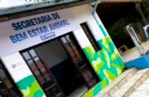 Secretaria de Bem-Estar Animal de Jandira está à disposição da população e orienta sobre ocorrências envolvendo animais